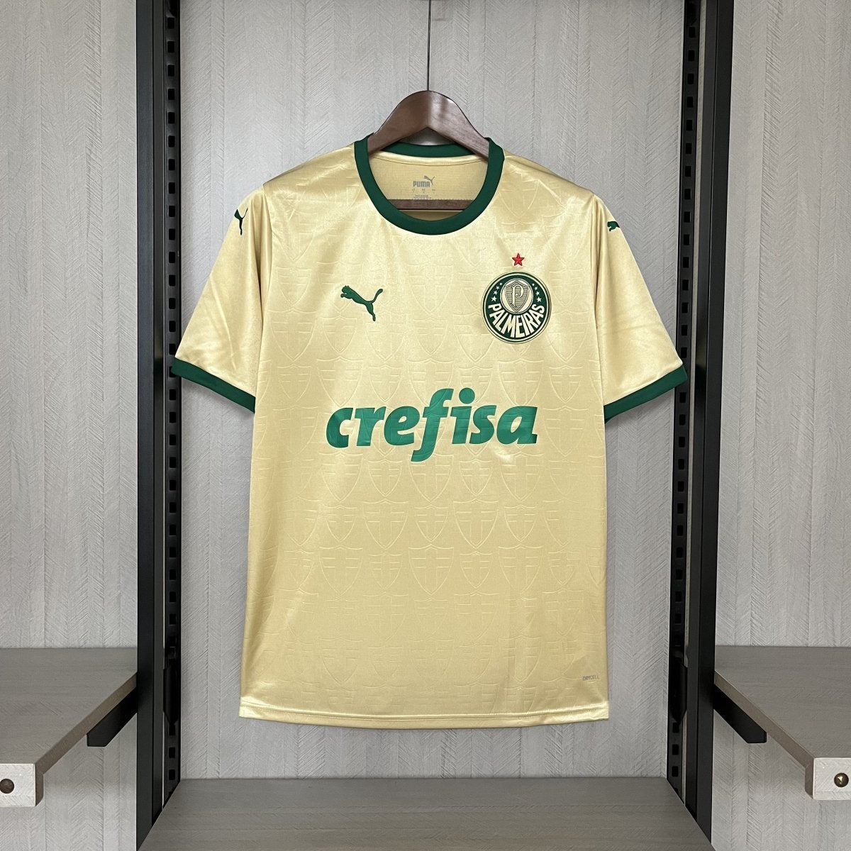 Palmeiras Fan Third Jersey 24/25