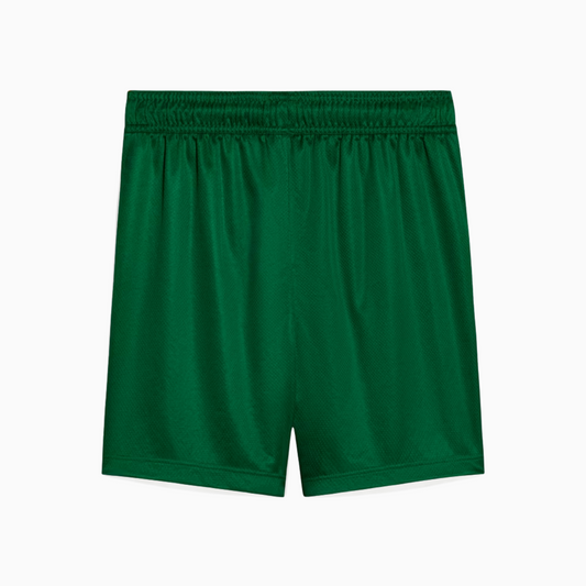 Shorts Palmeiras 2025 II – Fan Version