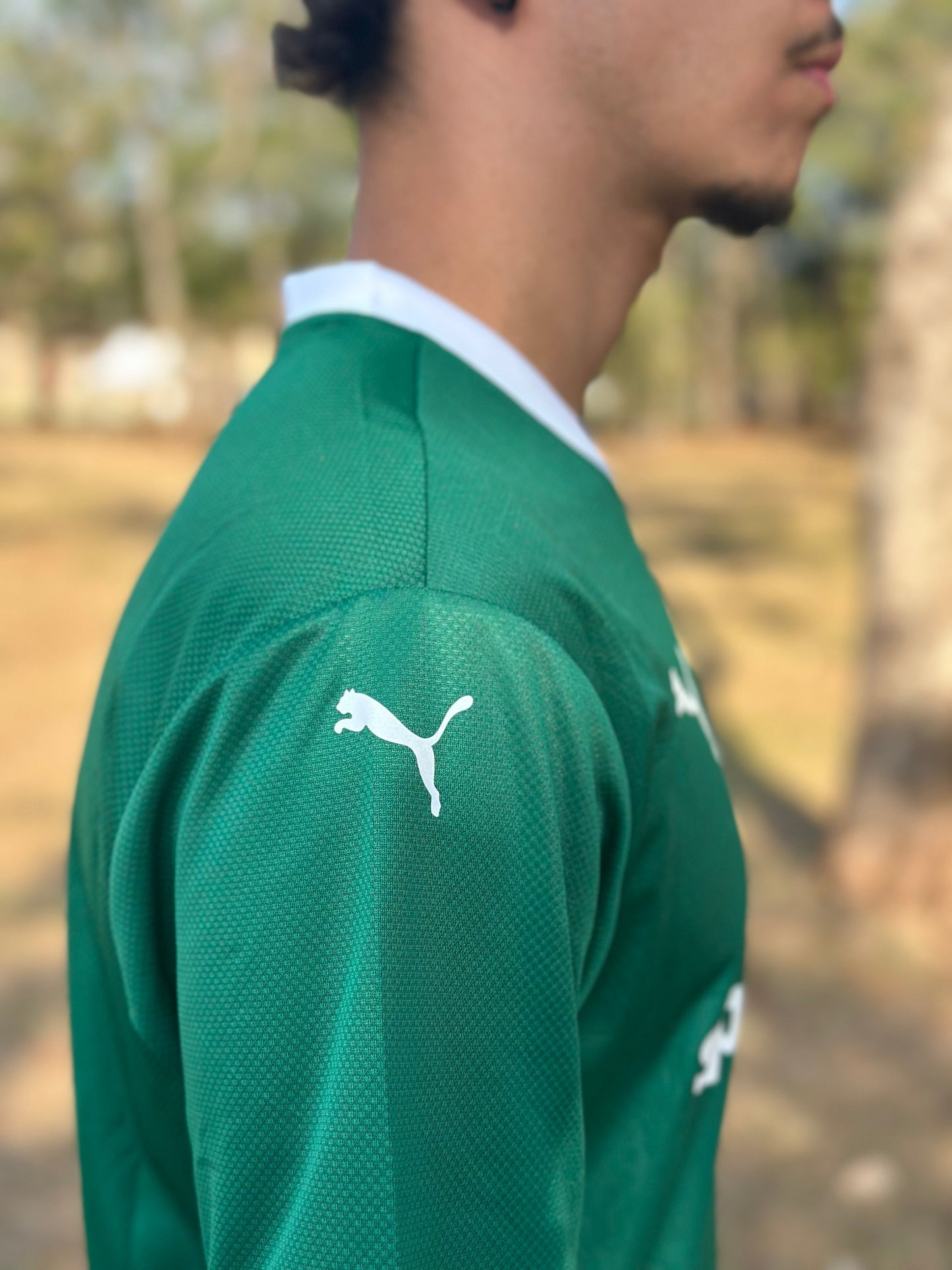 Camiseta Puma Palmeiras Primera Equipación 2025