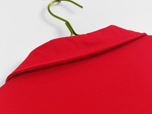 País de Gales Retro 1976/79 Home