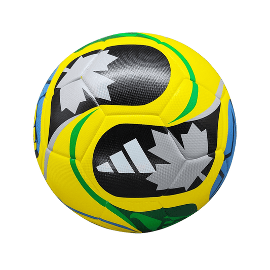 World Cup Style Training Ball