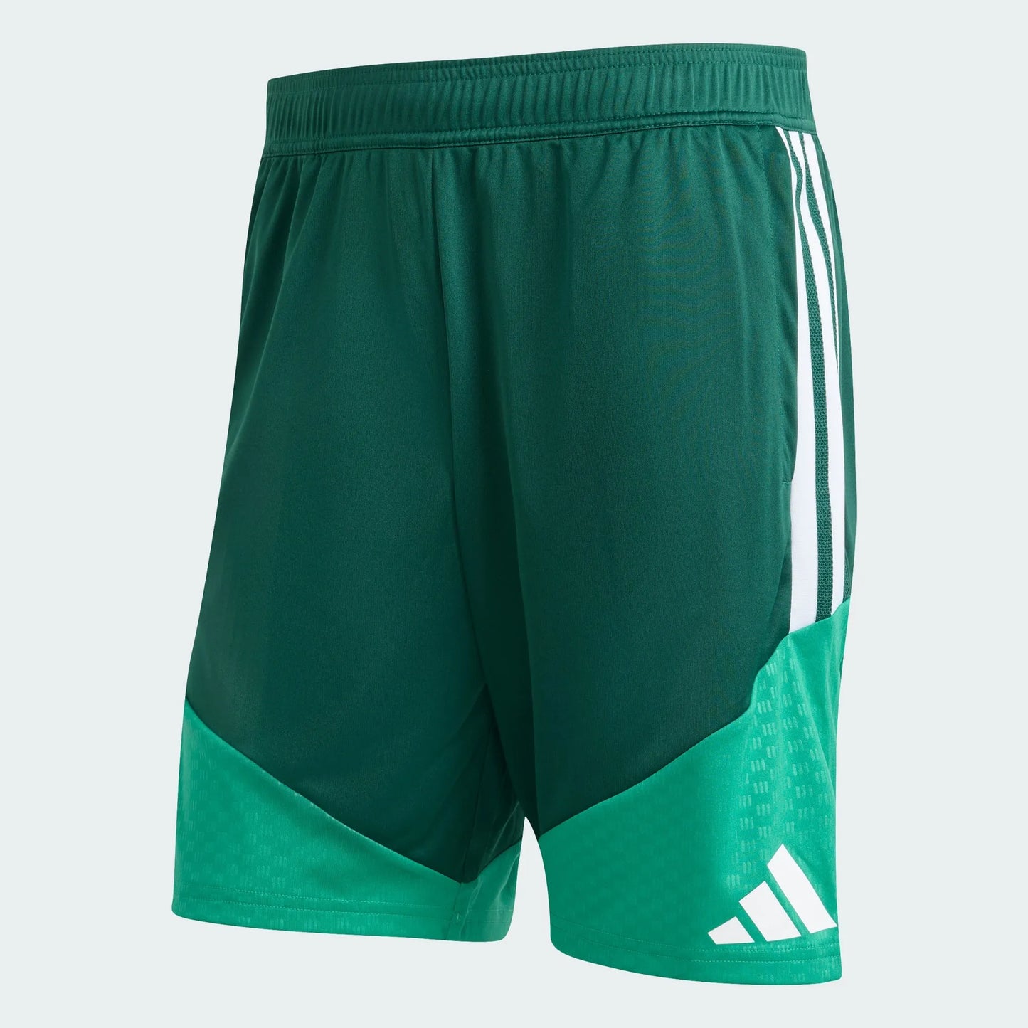 Shorts Algeria 2026 Home Training WorldCup