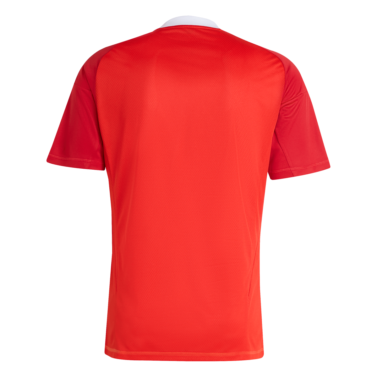 Manto Flamengo Goalkeeper 3 2025 - Sponsor Fan Version