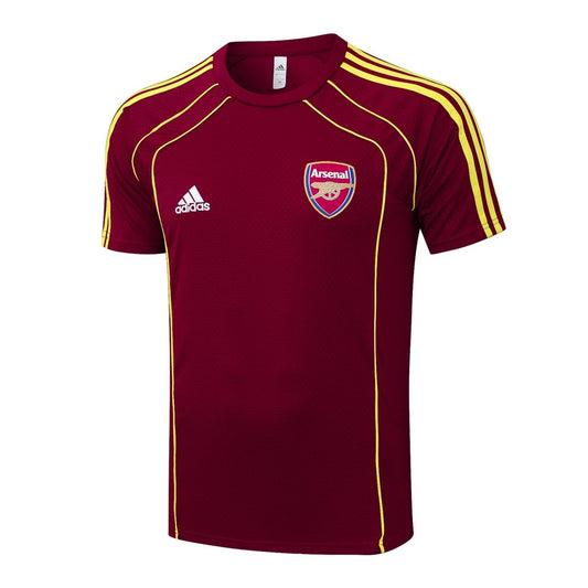Kit de entrenamiento para adultos del Arsenal 2025/26 (pantalones cortos y camiseta)