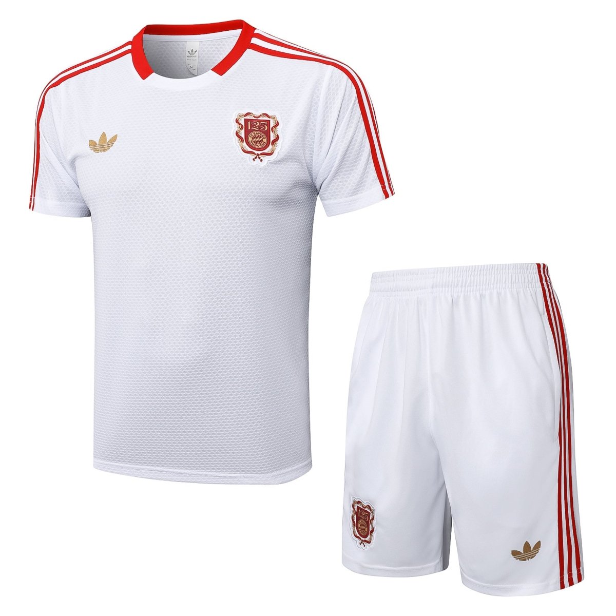 Kit de Treino adulto Bayern de Munique 2025/26 Short e Camisa