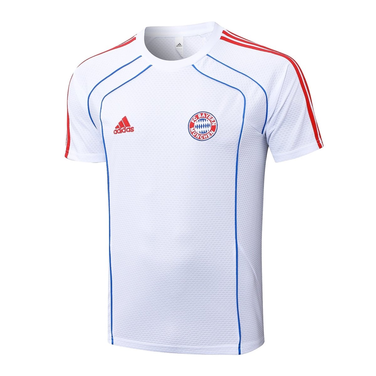 Kit de entrenamiento para adultos del Bayern Múnich 2025/26 (pantalones cortos y camiseta)