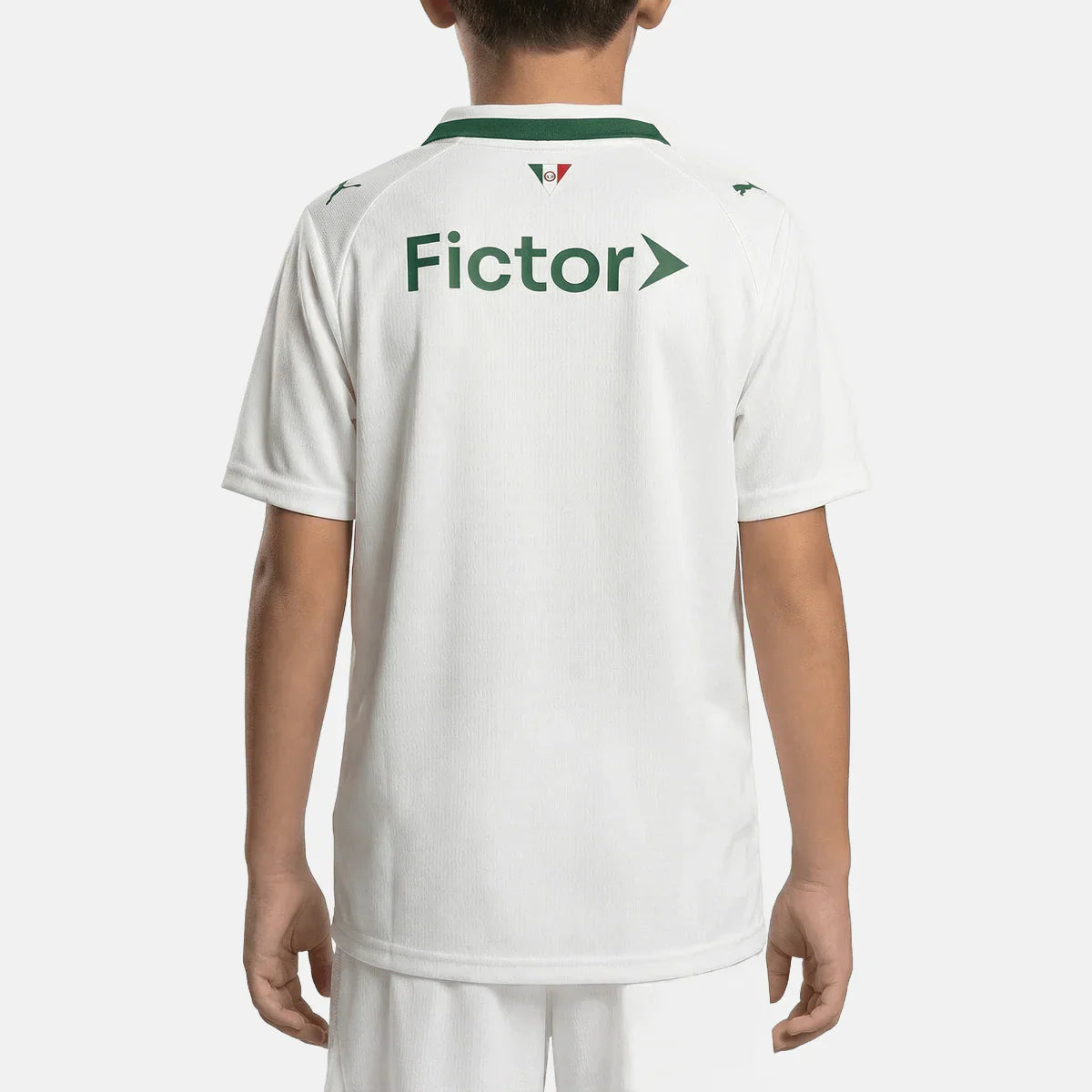 [PREVENTA] Conjunto Puma Palmeiras 2026/27 Infantil