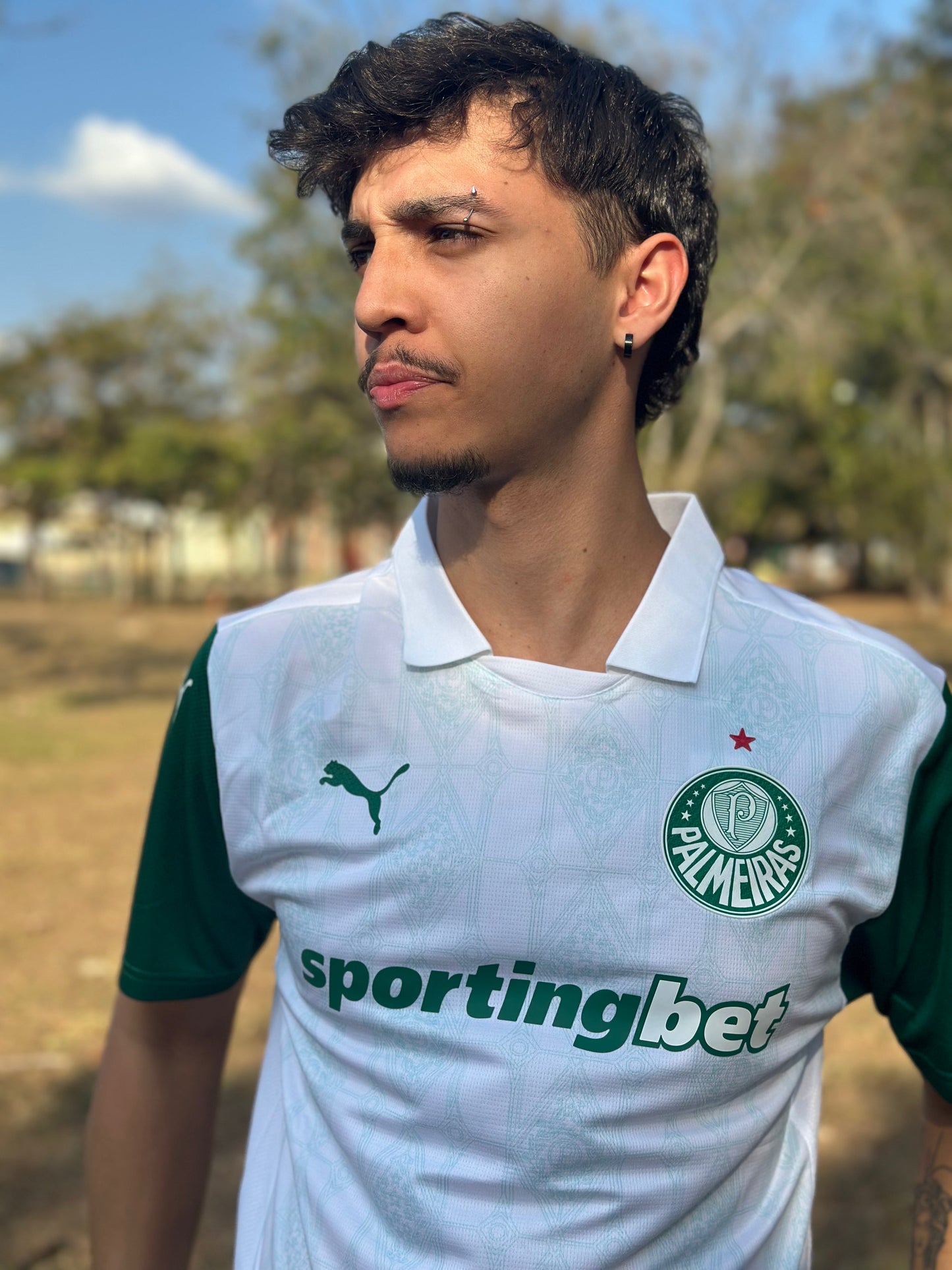 Camiseta Puma Palmeiras Segunda 2025