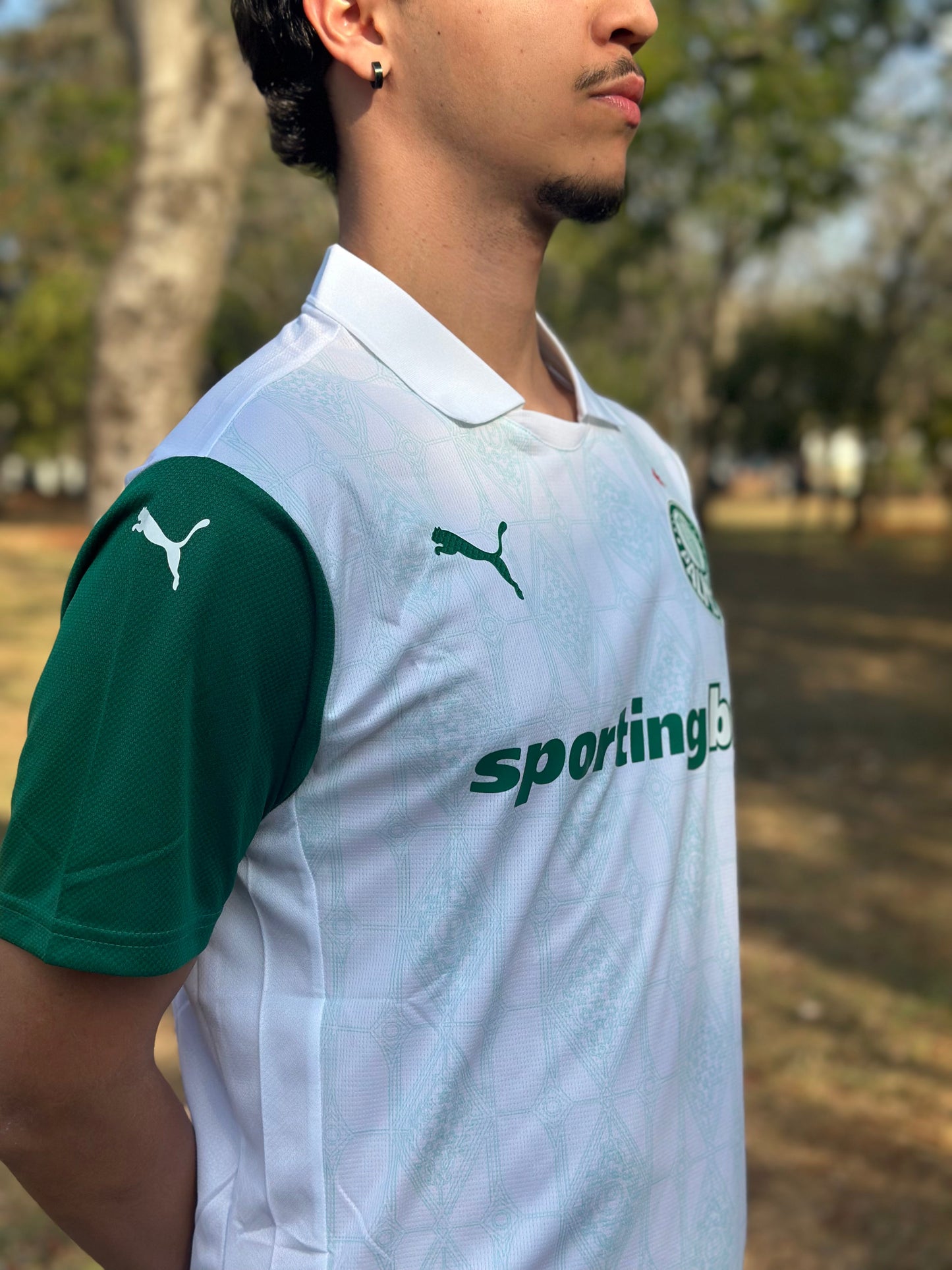 Camiseta Puma Palmeiras Segunda 2025