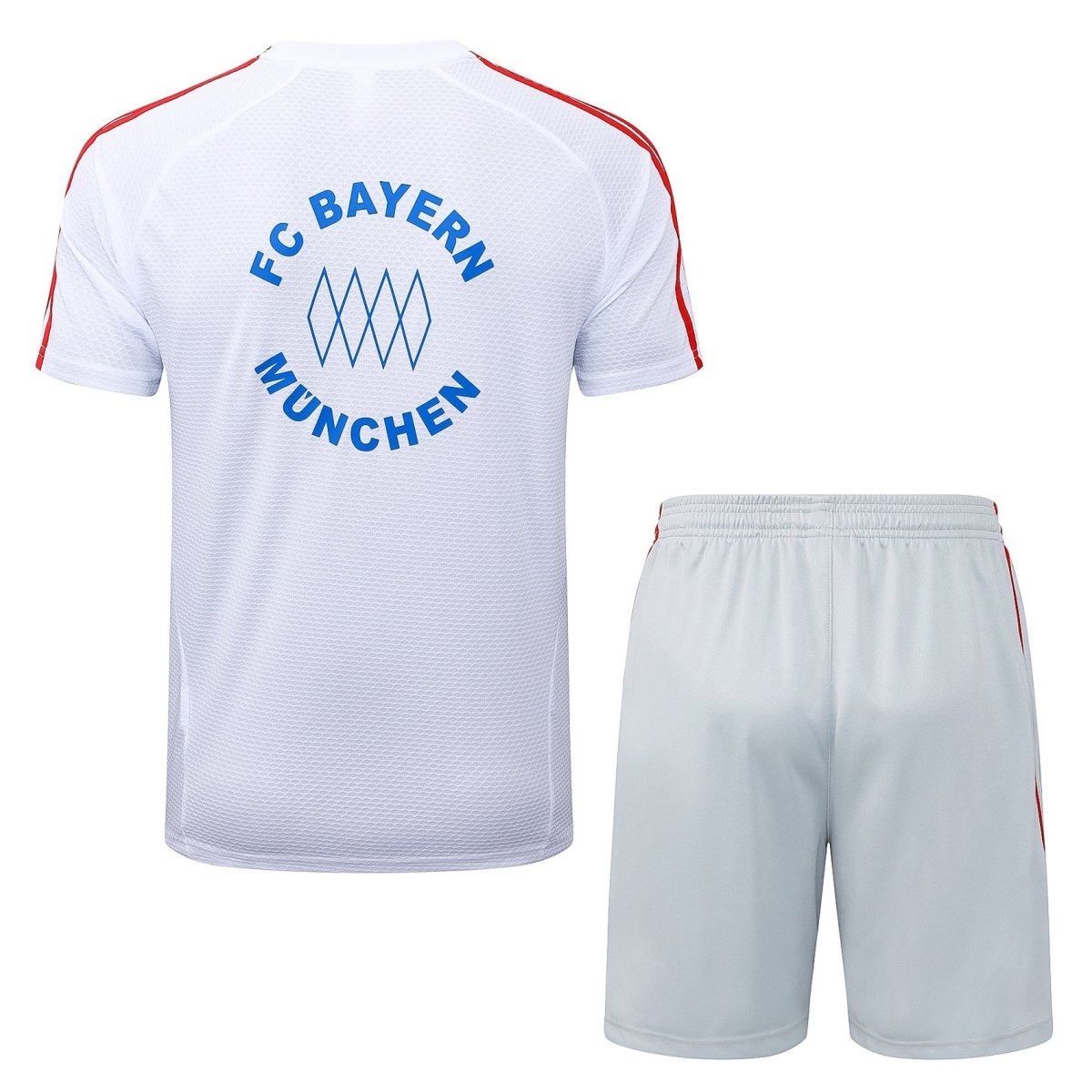 Kit de entrenamiento para adultos del Bayern Múnich 2025/26 (pantalones cortos y camiseta)