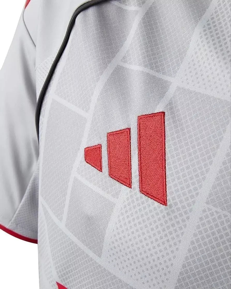 Camiseta de la tercera equipación del Lyon 25/26 - Camiseta Adidas para hombre - Gris y roja