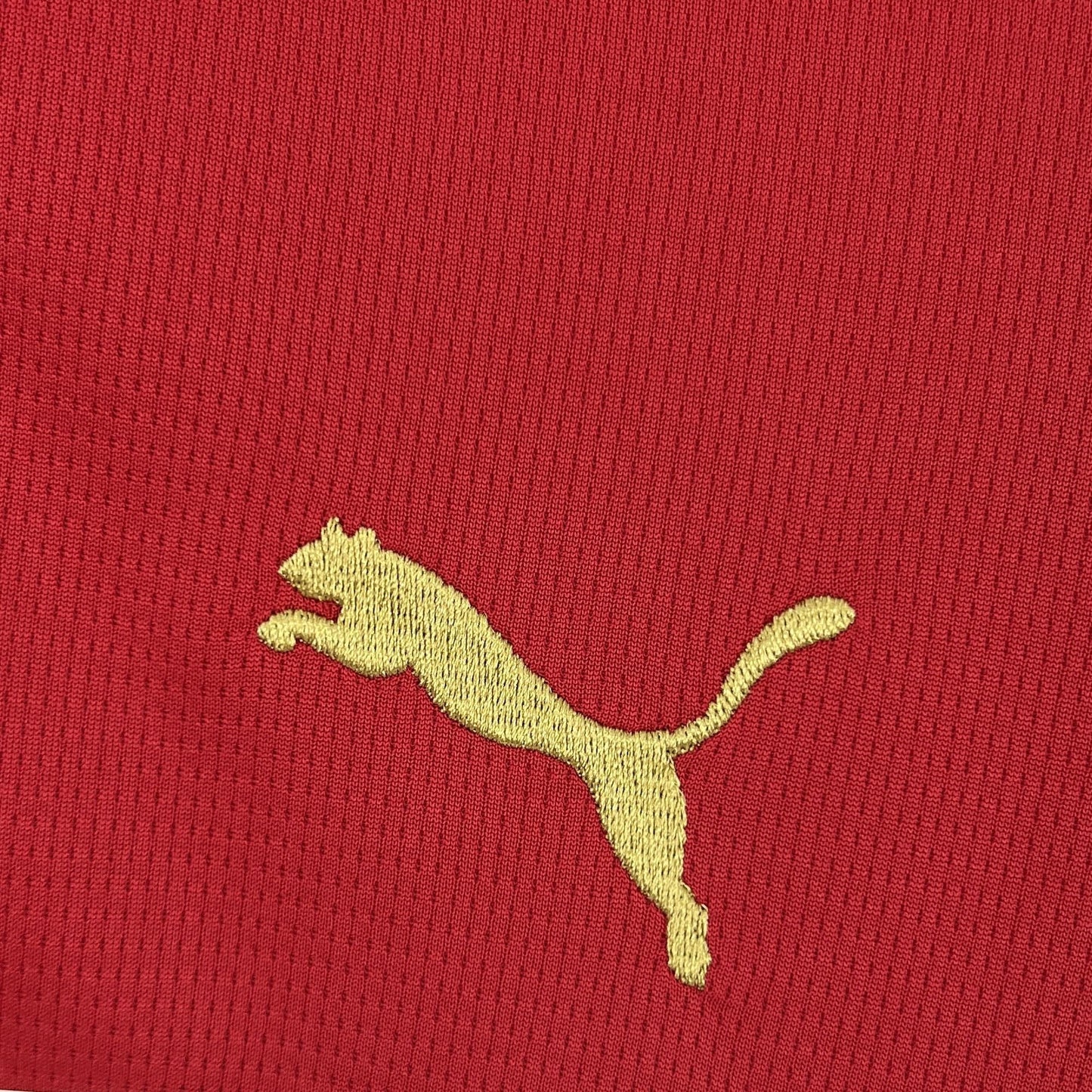 Mens Haiti 2026 World Cup Third Jersey - Fan Version