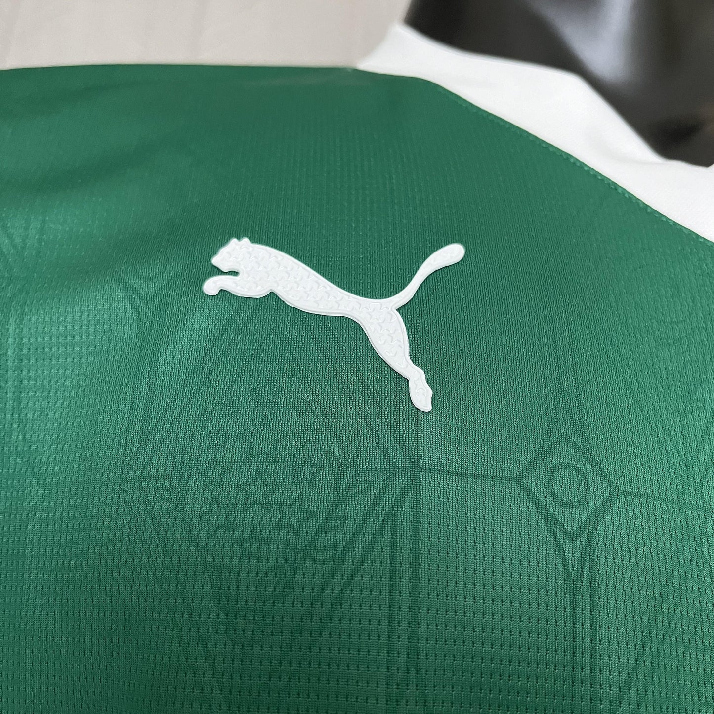 Palmeiras 2025/26 - Player Version [Slim Fit]