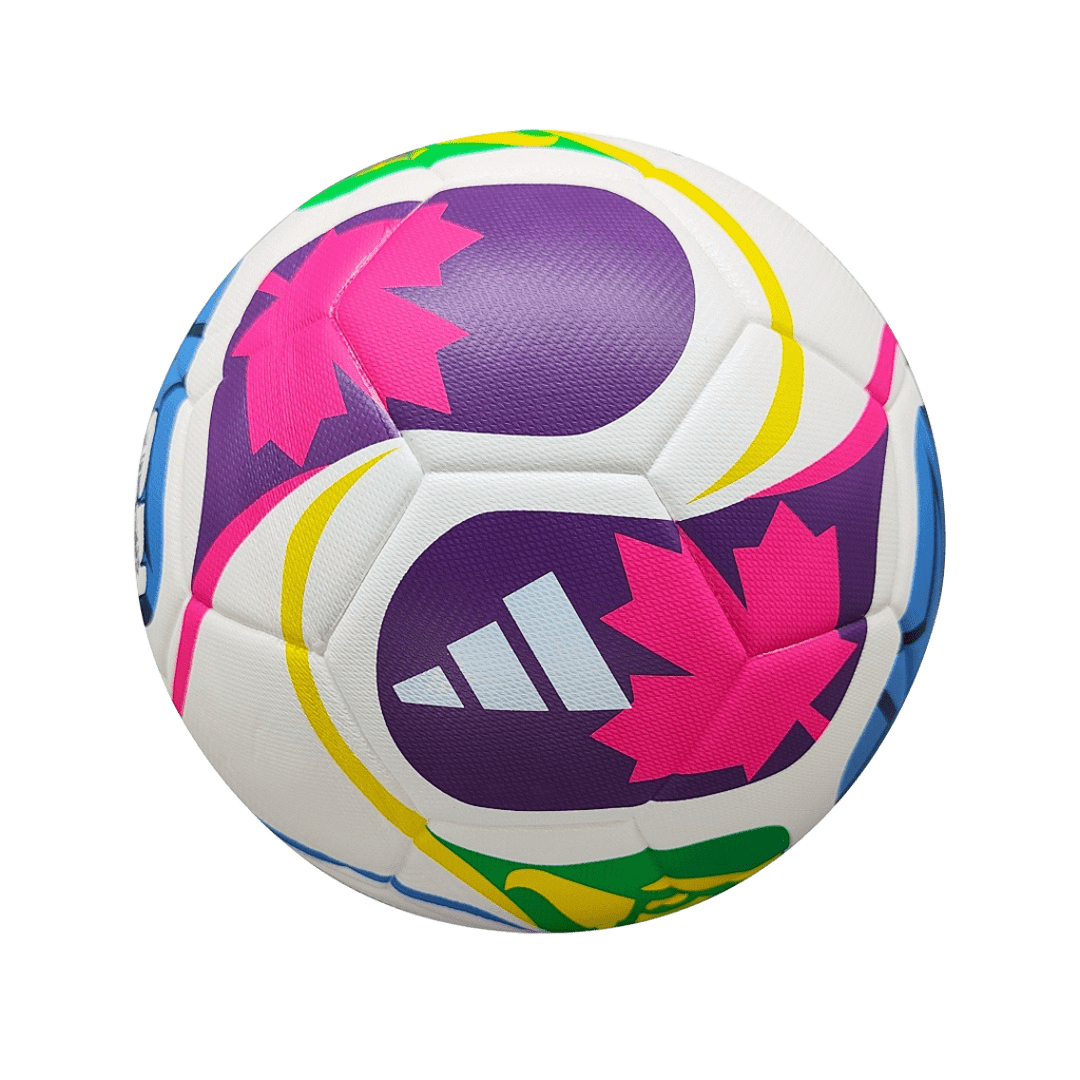 World Cup Style Training Ball