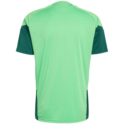 Jersey Mexico 25/26 Training WorldCup