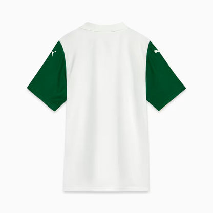 Camiseta Puma Palmeiras Segunda 2025