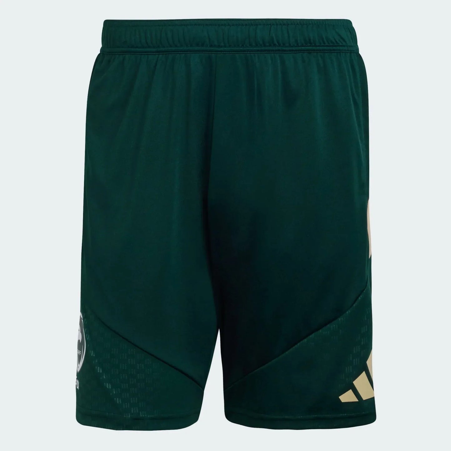 Shorts Saudi Arabia 2026 Training WorldCup